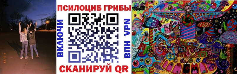 Псилоцибиновые грибы Psilocybine cubensis  Купить  Красновишерск 
